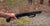 Mossberg Shockwave is a non NFA firearm with a 14″ barrel