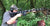 FALKOR Petra firing 300 Win. Mag feels like a regular AR-15 firing 5.56mm