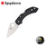 Spyderco Dragonfly 2 Folder - Black - Blade City